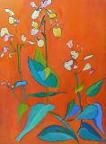 Fleurs
